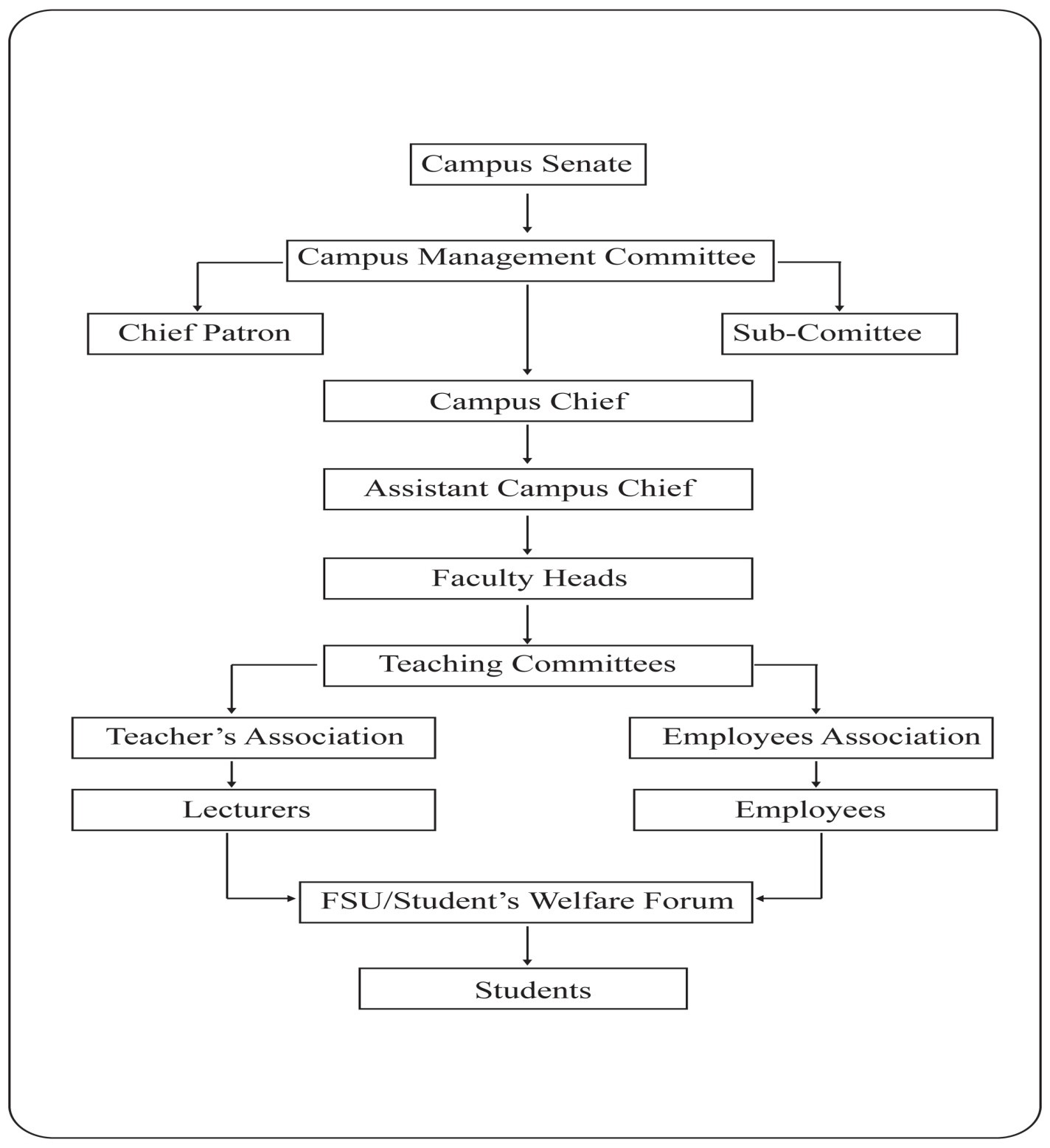 Campus Organization Structure
